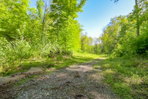 1312 Harden Holler Rd-33
