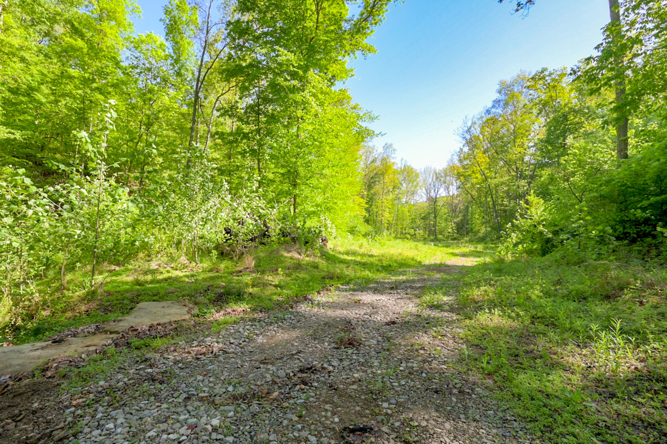 1312 Harden Holler Rd-33