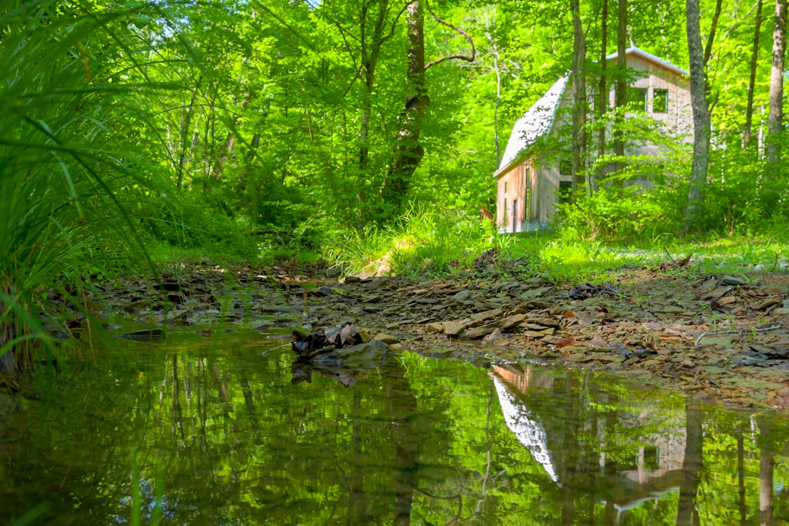 1312 Harden Holler Rd-9